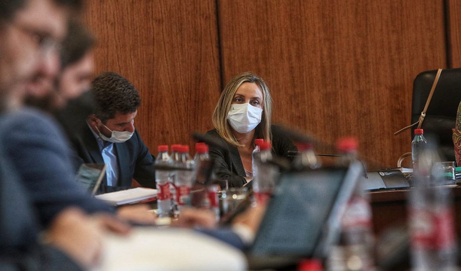 La Diputación Permanente convalida el decreto ley de revisión de precios de materiales de la construcción