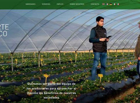 Planasa renueva su imagen para destacar la innovación varietal como motor de agricultura sostenible e inteligente