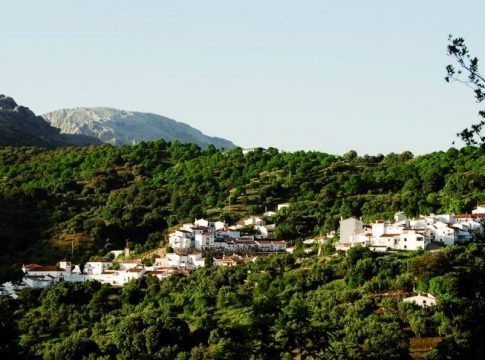 La Diputación de Málaga dedica un millón de euros para ayudas a agricultores, comercios y establecimientos turísticos de municipios afectados por el incendio de Sierra Bermeja
