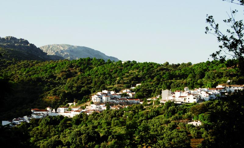 La Diputación de Málaga dedica un millón de euros para ayudas a agricultores, comercios y establecimientos turísticos de municipios afectados por el incendio de Sierra Bermeja