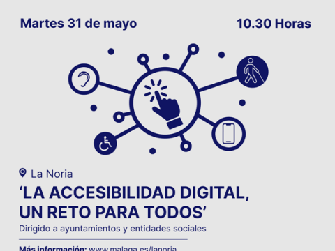 La Diputación de Málaga organiza la charla formativa 'La accesibilidad digital, un reto para todos', dirigida a ayuntamientos y entidades sociales