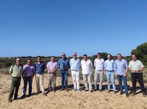 La Junta y los criadores de ganado marismeño colaboran para preservar razas autóctonas en peligro de extinción