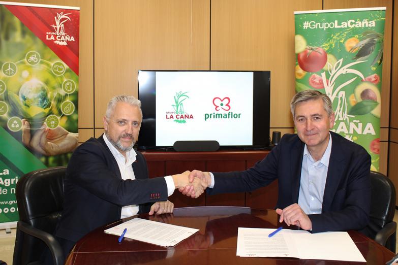 Grupo Empresarial La Caña y Primaflor crean una alianza para la producción, comercialización y desarrollo de nuevos productos de IV y V Gama