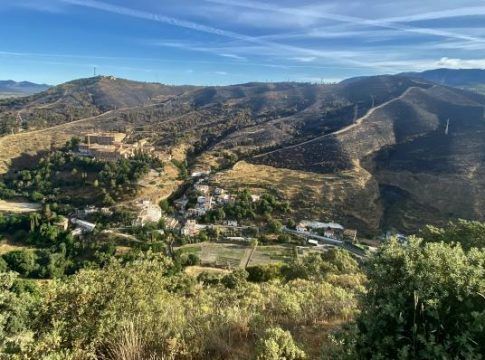UNEI dona a Plant for the Planet los primeros 100 árboles para repoblar la zona incendiada en el Cerro San Miguel