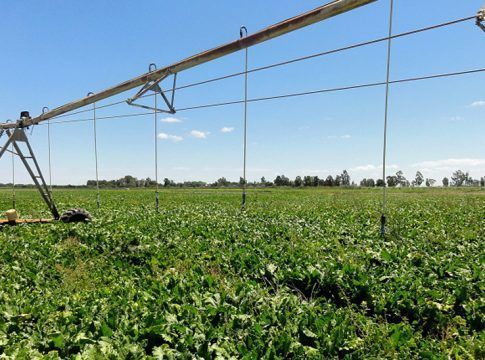 52 comunidades de regantes solicitan ayudas para la eficiencia energética y el riego con agua regenerada
