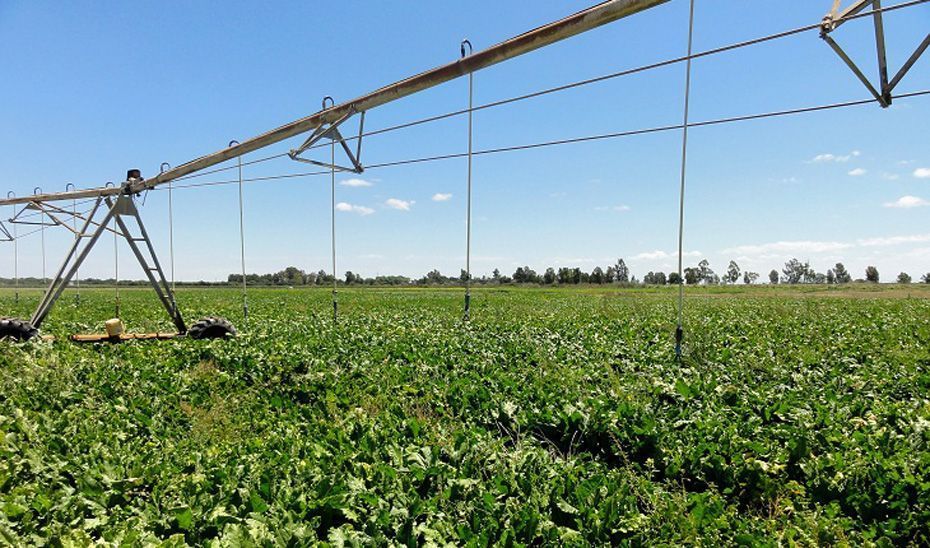 52 comunidades de regantes solicitan ayudas para la eficiencia energética y el riego con agua regenerada