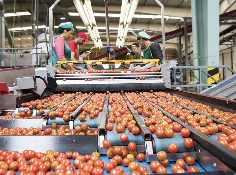 Convocadas ayudas para la integración y fusión de empresas agroalimentarias por 3,7 millones