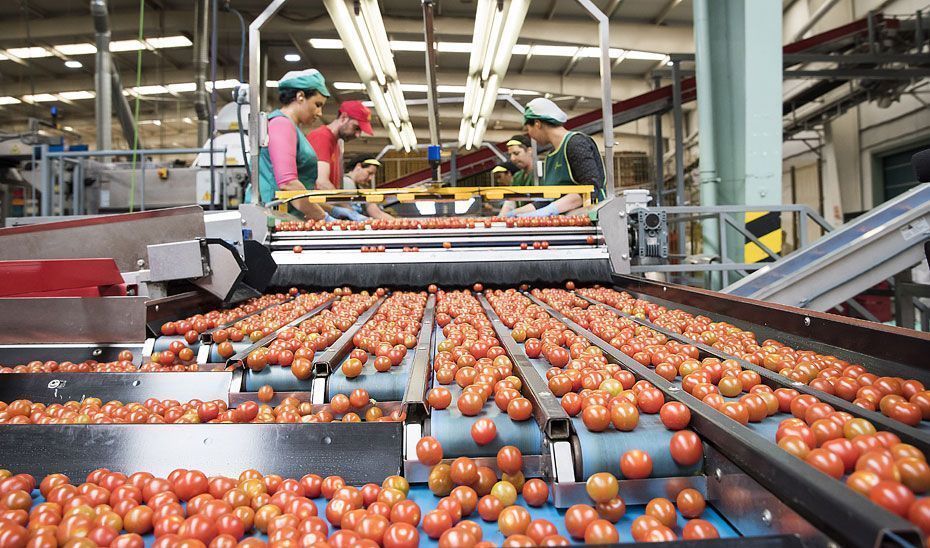 Convocadas ayudas para la integración y fusión de empresas agroalimentarias por 3,7 millones