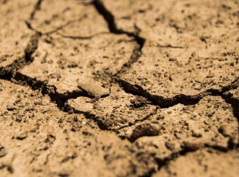 La consejera urge al Gobierno a reunir de nuevo a la Mesa Nacional de la Sequía para abordar la situación