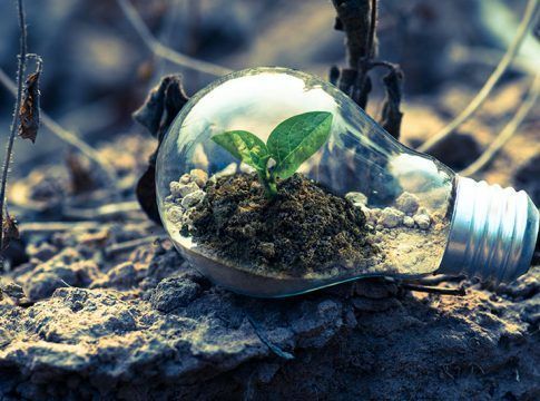 Andalucía se sitúa a la vanguardia con el despliegue de sus políticas de cambio climático