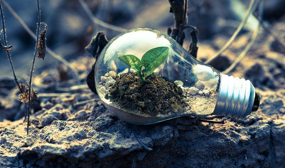 Andalucía se sitúa a la vanguardia con el despliegue de sus políticas de cambio climático
