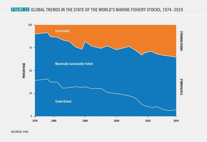 El 82,5% de los desembarques de productos de la pesca del mundo en 2019 procedió de población en buen estado biológico, un aumento del  3,8% respecto a 2017