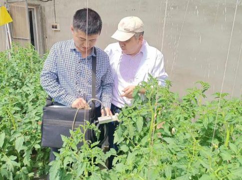 China elige a MAAVi Innovation Center de Kimitec para la producción sostenible de sus cultivos hortícolas