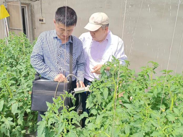 China elige a MAAVi Innovation Center de Kimitec para la producción sostenible de sus cultivos hortícolas