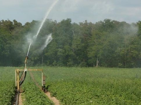 FERAGUA valora como un gran acierto la vinculación de las políticas de agua a la Consejería de Agricultura
