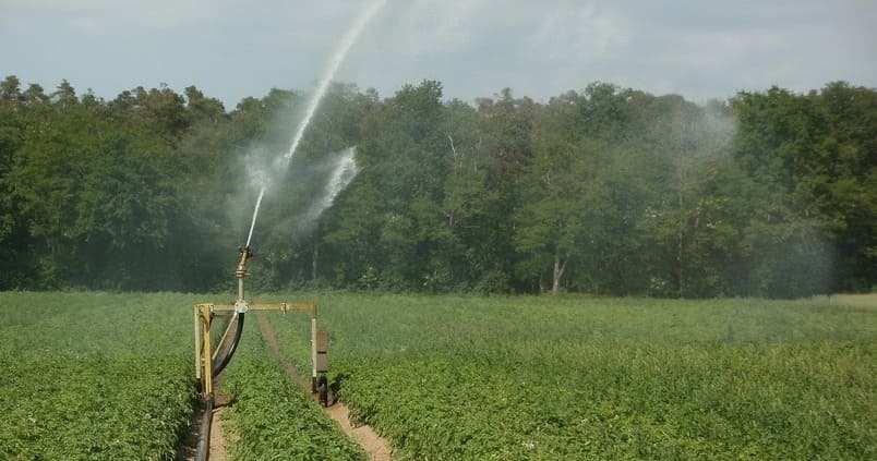 FERAGUA valora como un gran acierto la vinculación de las políticas de agua a la Consejería de Agricultura