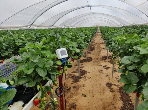 Innovaciones andaluzas para ahorrar agua en el campo y en el hogar