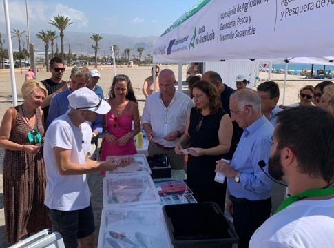 La campaña ‘Consume pescado fresco andaluz’ llega ya a 53 localizaciones costeras con 174 actuaciones