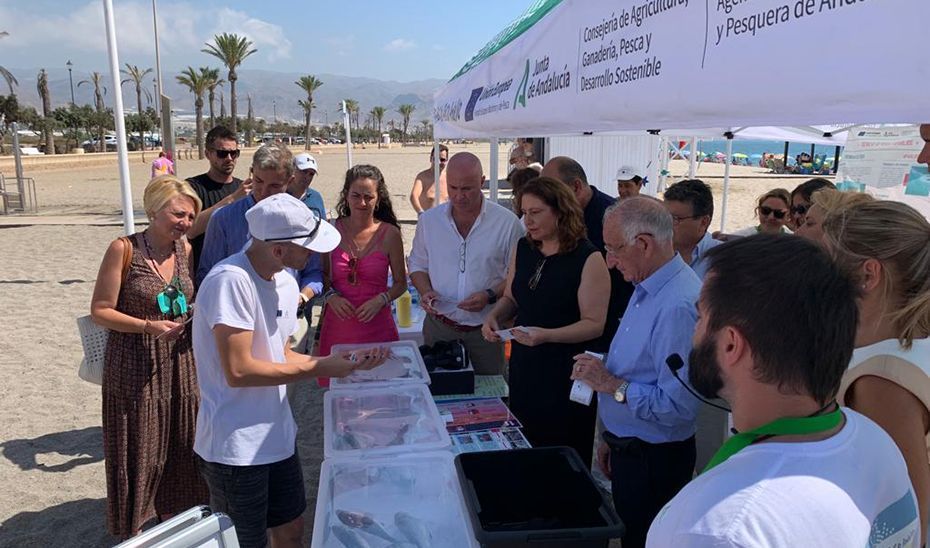La campaña ‘Consume pescado fresco andaluz’ llega ya a 53 localizaciones costeras con 174 actuaciones