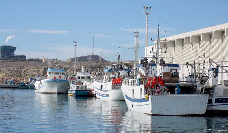 La Junta de Andalucía rechaza imponer limites y reducir zonas de pesca en el Golfo de Cádiz