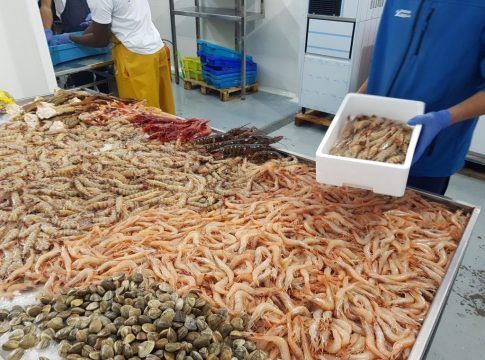 Récord de exportaciones andaluzas de pescados y mariscos: alcanzan los 170 millones tras crecer un 48% en los primeros cinco meses del año
