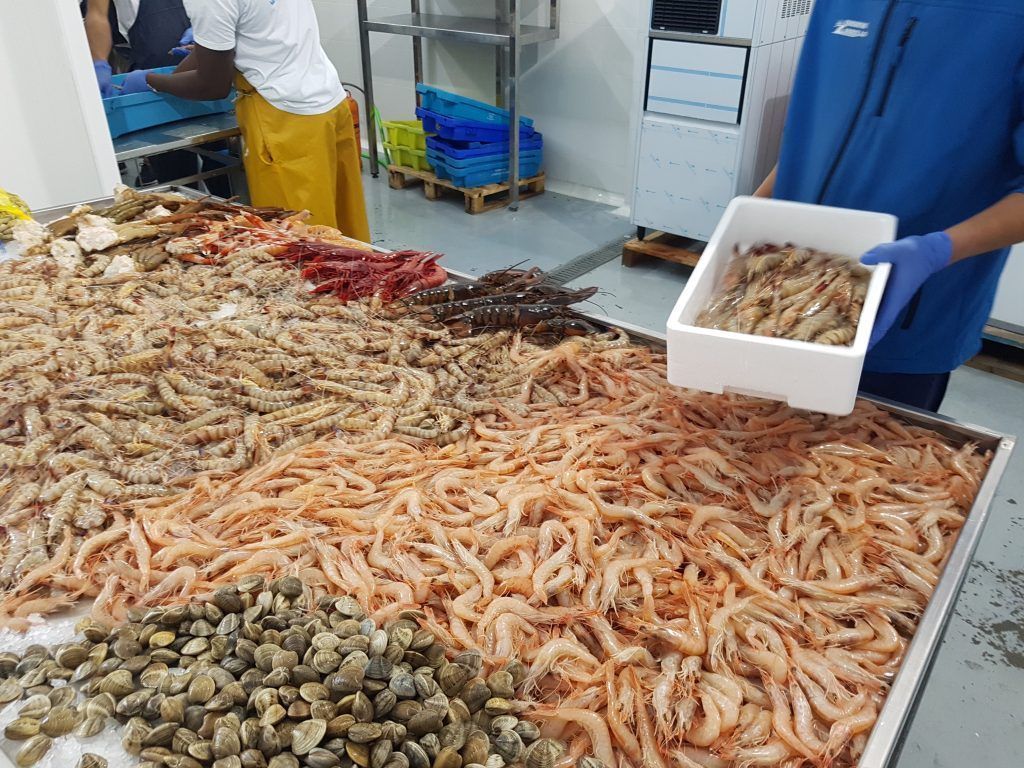 Récord de exportaciones andaluzas de pescados y mariscos: alcanzan los 170 millones tras crecer un 48% en los primeros cinco meses del año