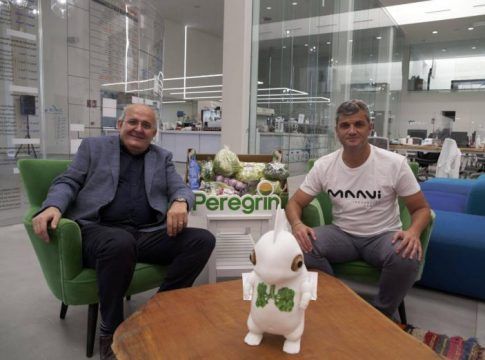 MAAVi Innovation Center de Kimitec y Peregrín se alían para cultivar el ajo más sostenible