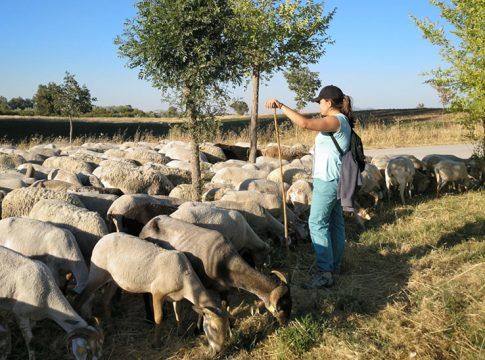 Andalucía reparte 26,7 millones en ayudas del Fondo de Reserva de Crisis de la UE por la guerra en Ucrania