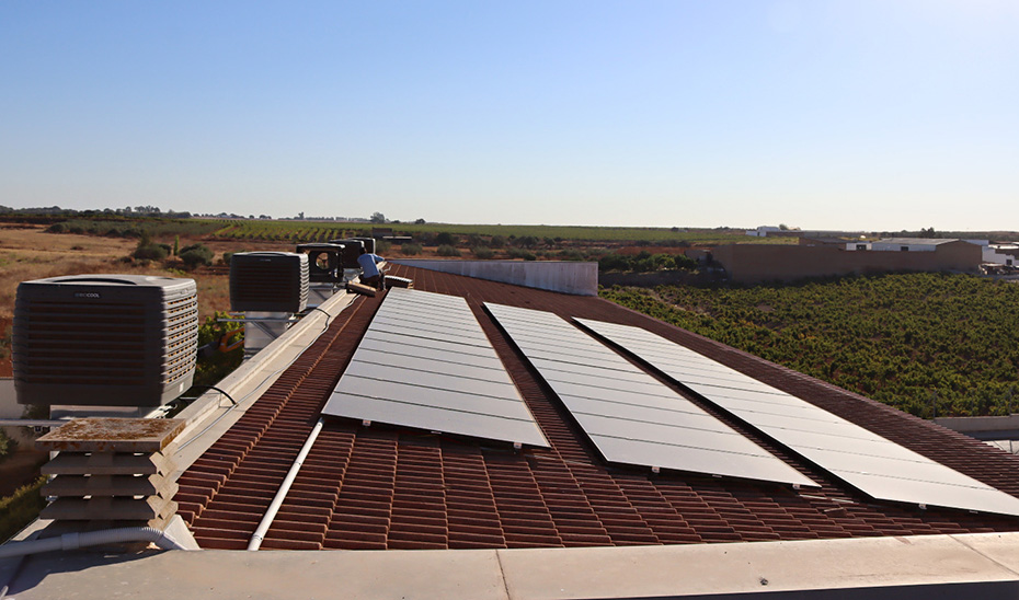 Los centros educativos públicos de nueva construcción incorporarán sistemas de bioclimatización en Andalucía