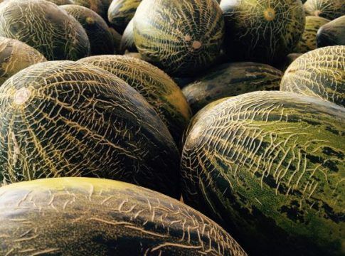Éxito del MAAVi Lab entre Kimitec y Frutas Bollo