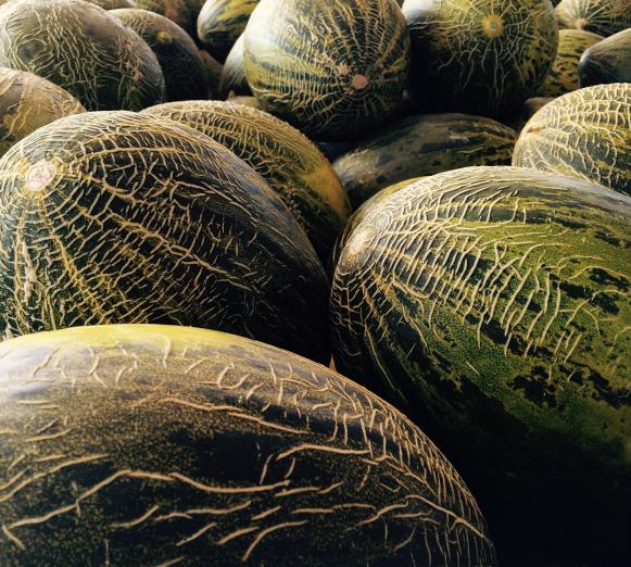 Éxito del MAAVi Lab entre Kimitec y Frutas Bollo