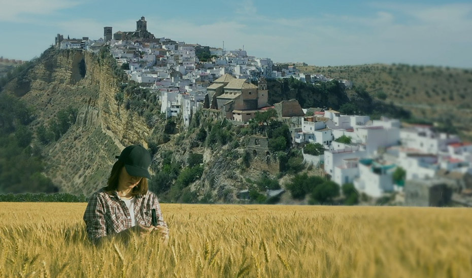 Andalucía tendrá un protocolo para la atención de las mujeres rurales que sufren violencia machista