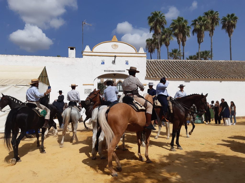 Valencina de la Concepción recupera el esplendor de su romería de Torrijos, fiesta de interés turístico de Andalucía