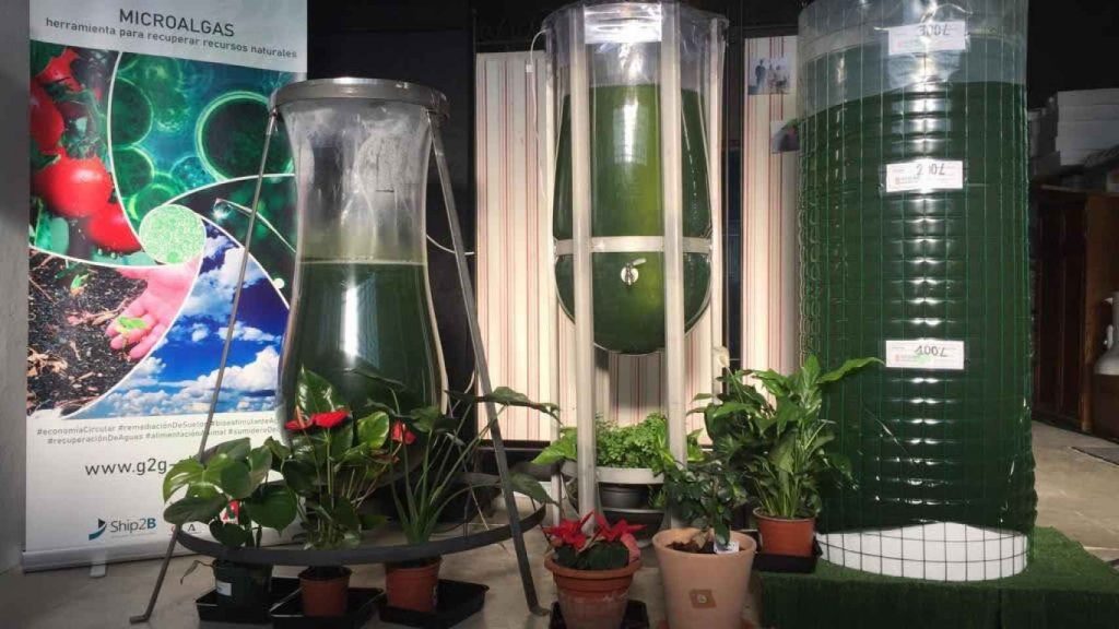 <strong>Siete startups andaluzas que ayudan a luchar contra el cambio climático </strong>