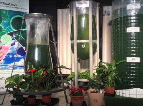 <strong>Siete startups andaluzas que ayudan a luchar contra el cambio climático </strong>