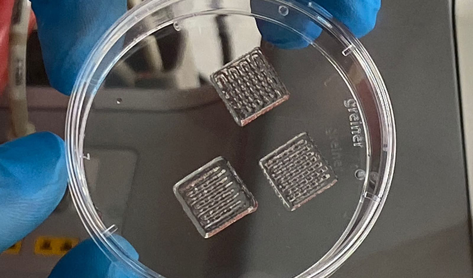 Investigadores andaluces desarrollarán una retina artificial para estudiar la degeneración macular juvenil