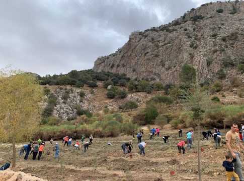 Las ‘Arboladas’ de la Diputación terminan con más de 350 participantes y la plantación de más de 1.500 árboles y arbustos