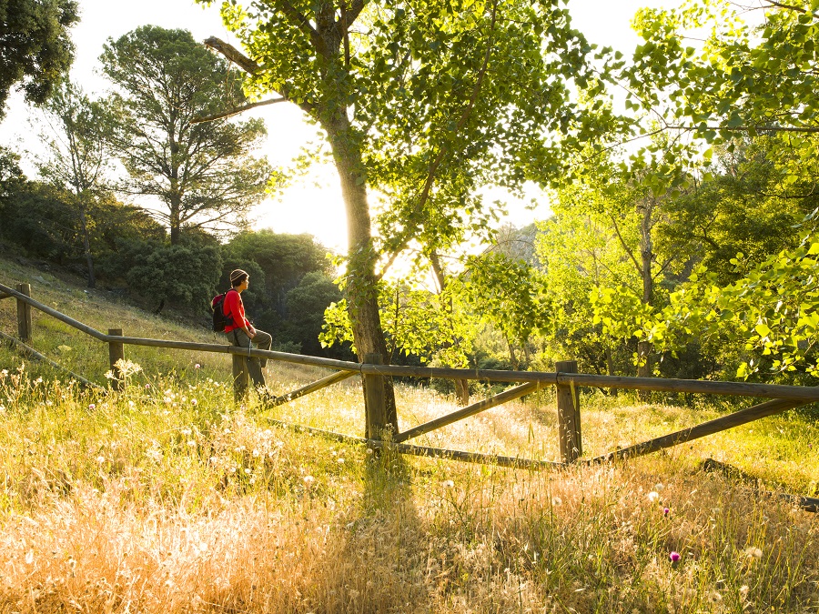 La Costa del Sol afianza la recuperación del turismo nacional en octubre con incrementos respecto a 2019 en los indicadores de turismo rural y campamentos turísticos