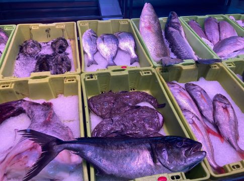 Ante el silencio administrativo, el conjunto del sector pesquero pide reunión urgente a Pedro Sánchez en favor de la fiscalizad saludable del pescado