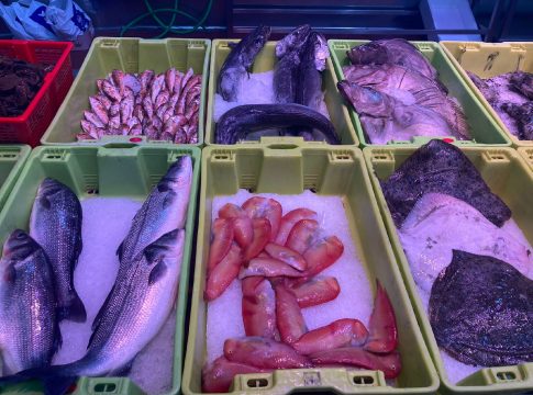 El sector pesquero apremia al Gobierno a replantearse urgentemente el IVA de los productos pesqueros y no alejarlos de la dieta de los españoles 
