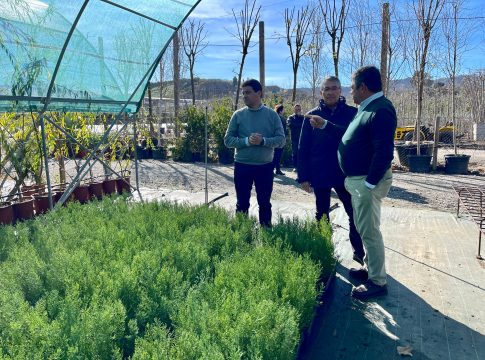 La Diputación prepara la plantación de 42.000 árboles y arbustos para la reforestación del entorno del pantano de La Viñuela