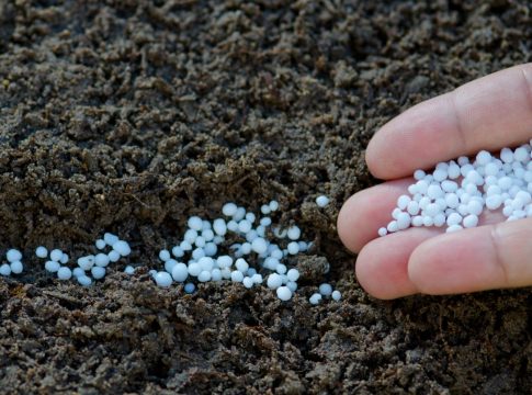 UPA Andalucía denuncia que el 70% de los agricultores que perciben la PAC se queda fuera  de las ayudas por el precio de los fertilizantes