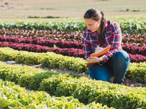Las mujeres ocuparon más de la mitad de los nuevos empleos creados en Andalucía en 2022