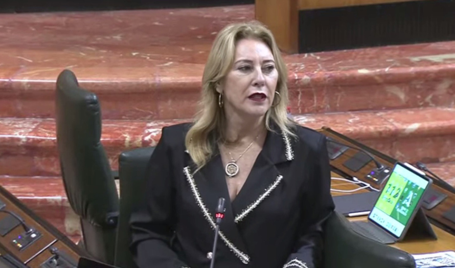 El Parlamento aprueba el Presupuesto de la Junta para 2026 tras incorporar 107 enmiendas