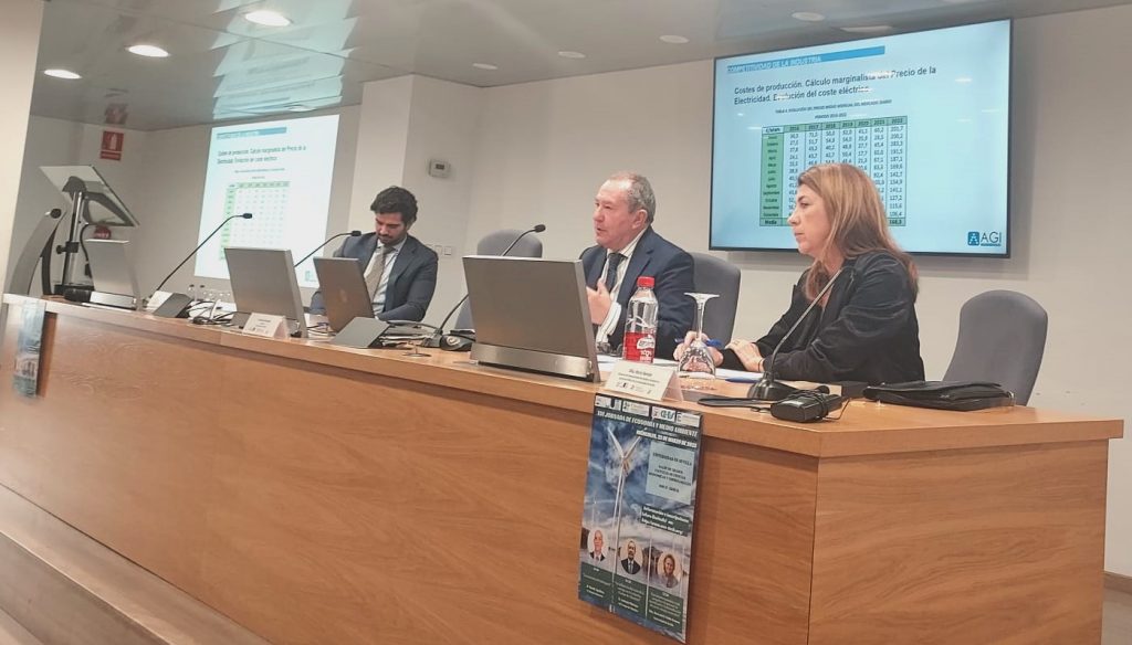 AGI apunta que Andalucia y el Campo de Gibraltar deben ser líderes en Europa en el desarrollo de energías renovables para tener autonomía energética