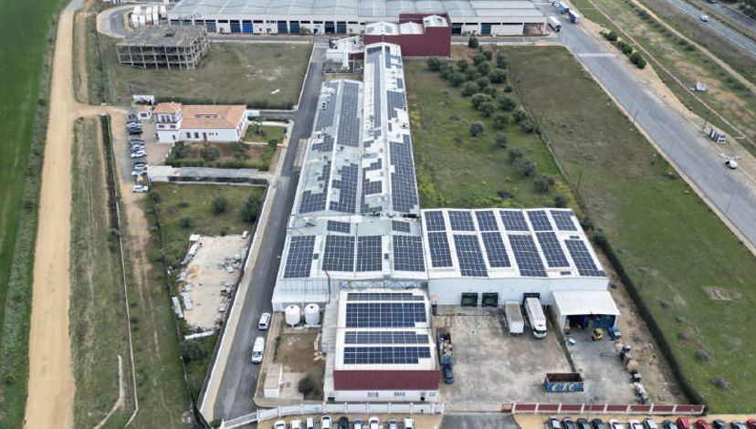 Inés Rosales estrena en su sede de Huévar del Aljarafe una instalación fotovoltaica de 1336 paneles de la mano de Quántica Renovables