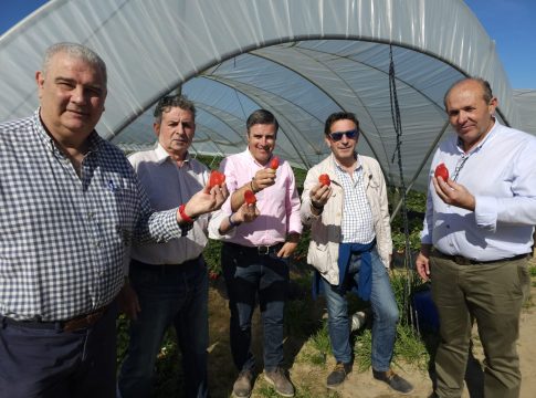 UPA Andalucía critica que la avaricia de la distribución por obtener más beneficios lastra  la rentabilidad de los productores de frutos rojos