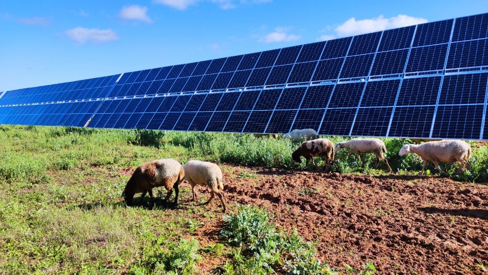 <strong>Dos plantas solares andaluzas de Endesa reciben el Sello de Excelencia para la Sostenibilidad 2022 de UNEF</strong>