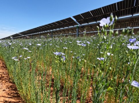 <strong> El sol, el viento y el agua producen en Andalucía 762 GWh de energía limpia</strong>