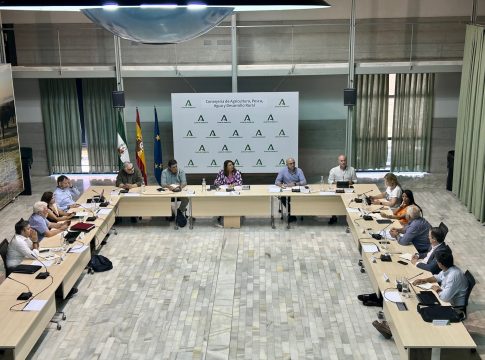 La Mesa de Interlocución acuerda pedir ayudas al olivar de la Reserva de Crisis o de la Medida 22